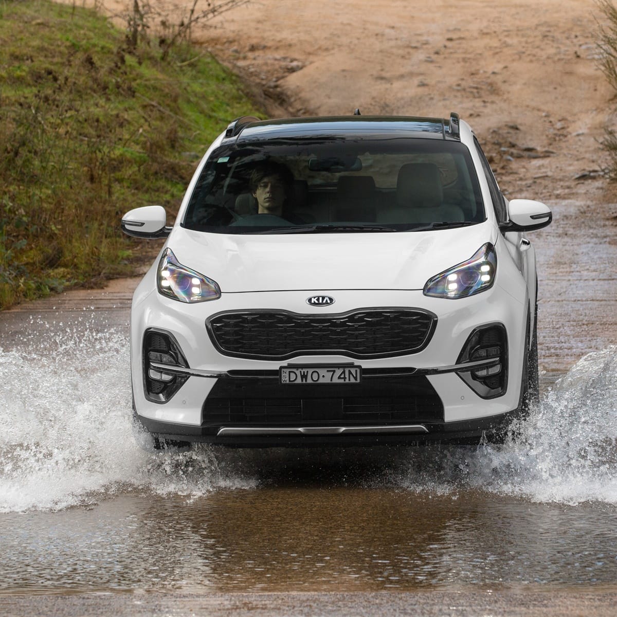 kia sportage qle 2019