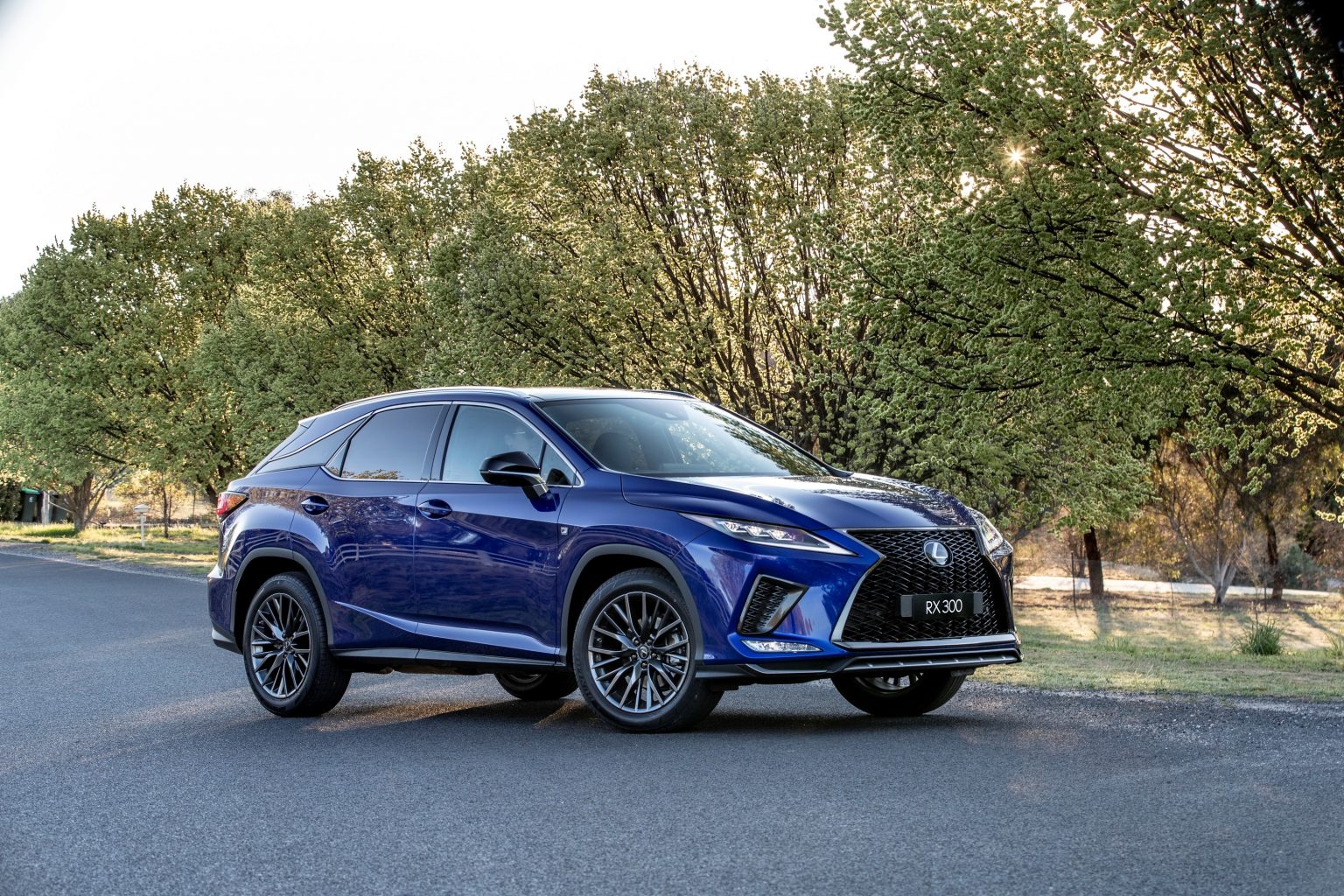 Lexus RX 350 F Sport 2022 Review - AnyAuto